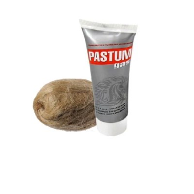 Набор монтажный Pastum GAS 25гр, Лён 20гр /100