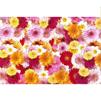 Клеенка Колорит ЭТЮД 170/7 ткань с ПВХ 1,25*25м