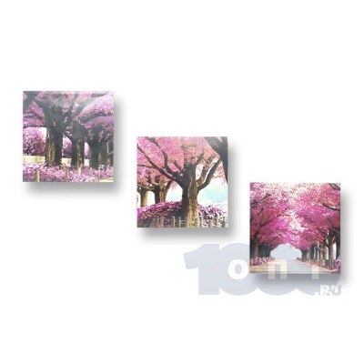 Картина 594 60*60 цена за набор 3шт \67CL-10-594-6\Деревья \7