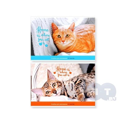 Альбом д/рисования 12л. на скрепке 'Питомцы. Where your friend' А12ф_14194