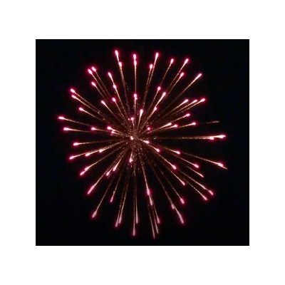 SH 3001 3' Purple peony w/crackling pistil (B2) 72/1