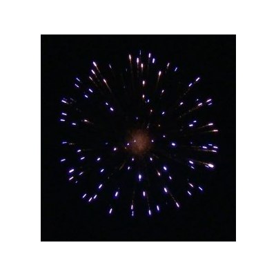 SH 0301 3' Blue peony (L2) 36/1