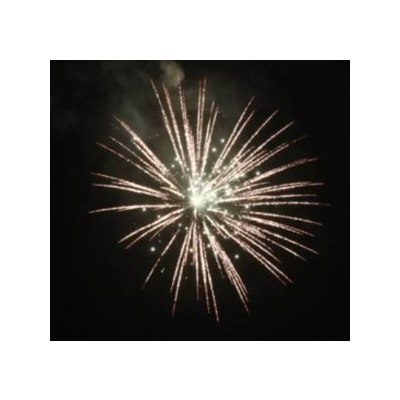 SH 3002 3' Brocade crown w white strobe pistil (P) 36/1