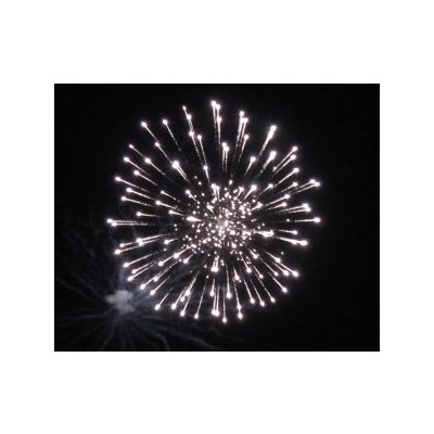 SH 4001 4' Silver peony w/strobe pistil (В2) 36/1