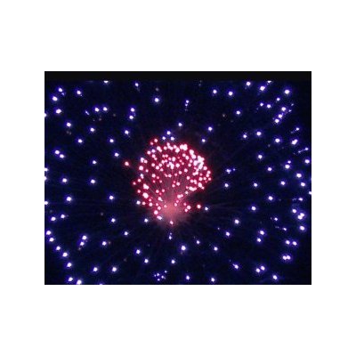 SH 0601 6' Blue peony w/Red pistil (L2) 9/1