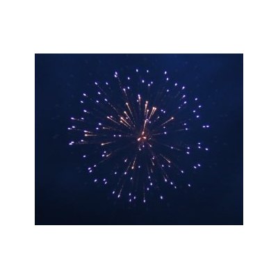 SH 3001 3' Blue peony w/palm core (B2) 72/1