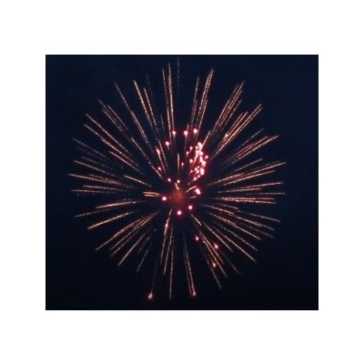 SH 0402 4' Flower wave chrys to green strobe with red strobe pistil (L2) 24/1