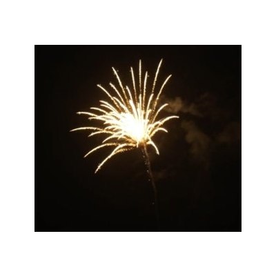 SH 4001 4' Time rain willow waterfall w crackling comet tail № Р-77 (P) 24/1