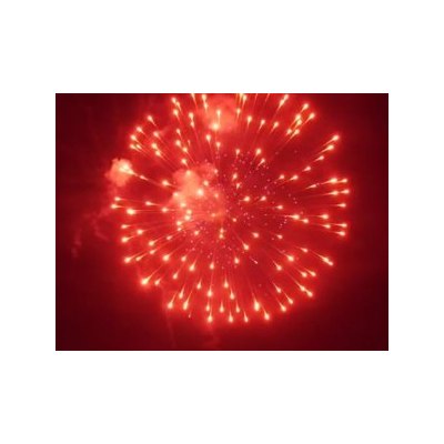 SH 4001 4' Red peony w blue pistil to thousand crackling chrys № Р-67 (P) 24/1