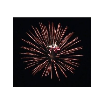 SH 0502 5' Flower wave chrys with Color falling leaves  (L2) 16/1