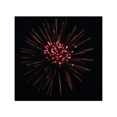 SH 0502 5' Flower wave chrys to green strobe with red strobe pistil (L2) 16/1