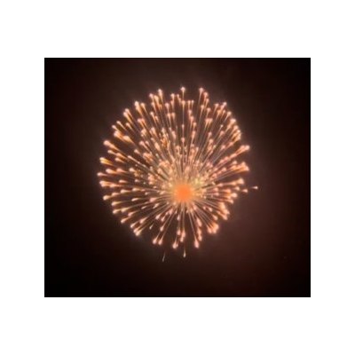SH 0602 6' Silver Strobe peony with Green pistil (L2) 9/1