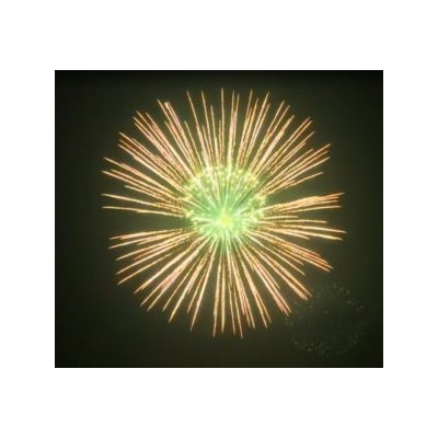 SH 0602 6' Brocade crown to white glittering w/green pistil (L2) 9/1
