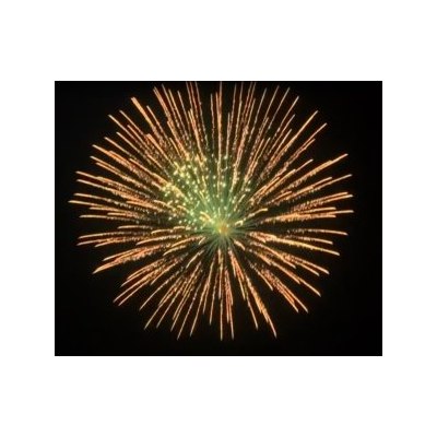 SH 0601 6' Crown wave w/green pistil  (L2) 9/1