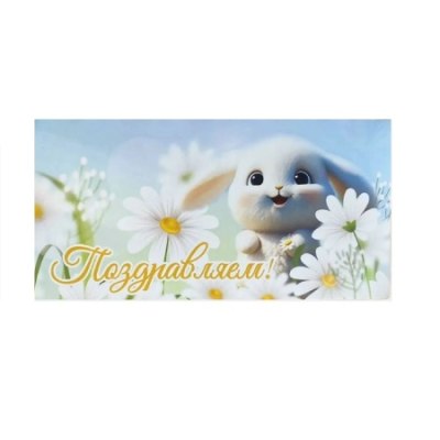 Конверт для денег Поздравляем! арт.243 /10