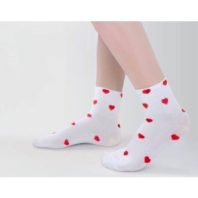 Носки женские 8352  \10