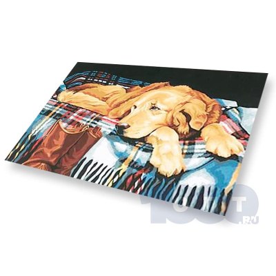 Салют C25-25/01WW JF 'Вервольф 25' (1'х25) 12/1