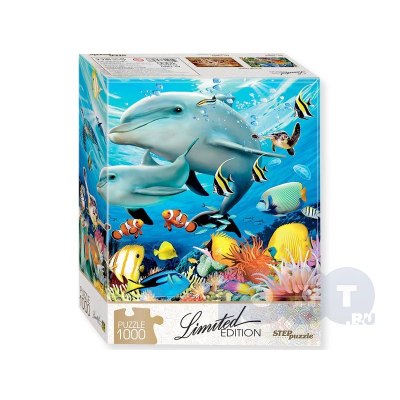 ОС6435 Салют 'Мечты в небо' (0,8'х48) 1/6/1