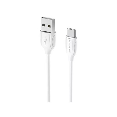 Зарядный кабель Type-C Borofone BX113 2м белый